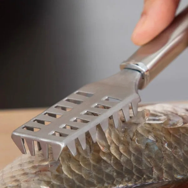 Steel Fish Scale Remover